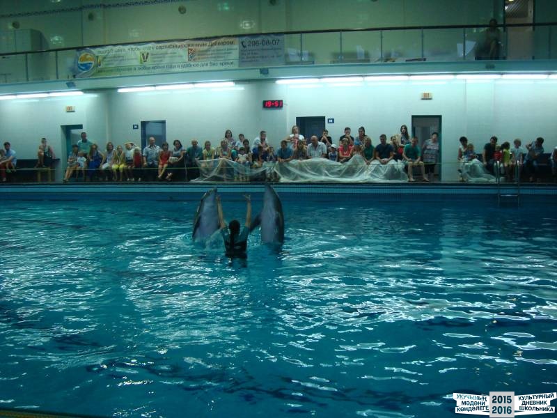 Мои летние путешествия!39640