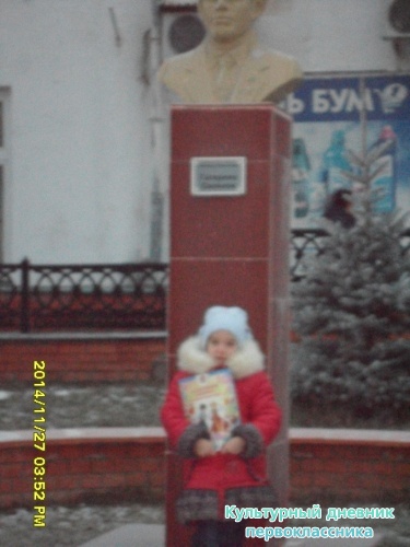 я и мой культурный дневник4583