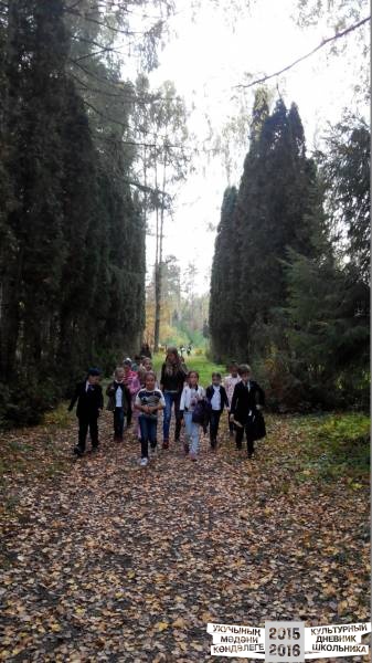 В ДЕНДРАРИИ30842