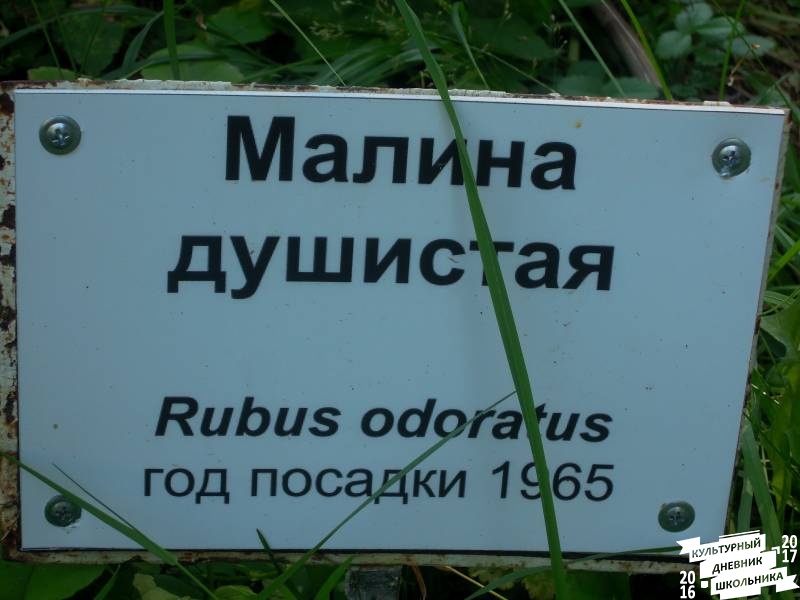 DSCN1593.JPG