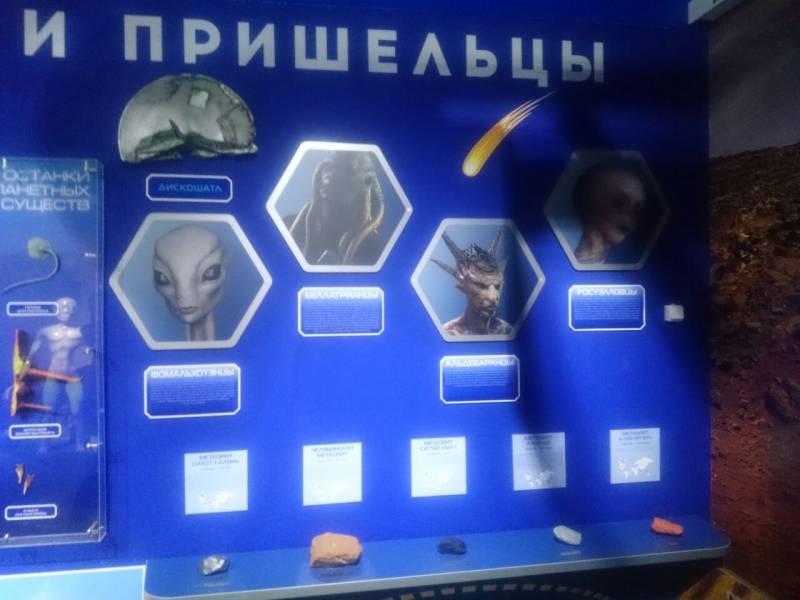 зарница115666