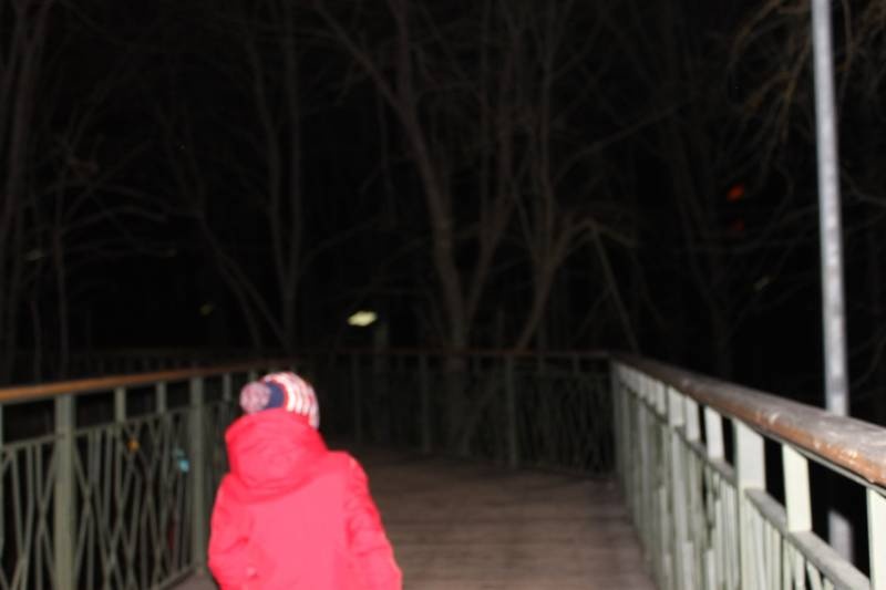 IMG_5393.JPG