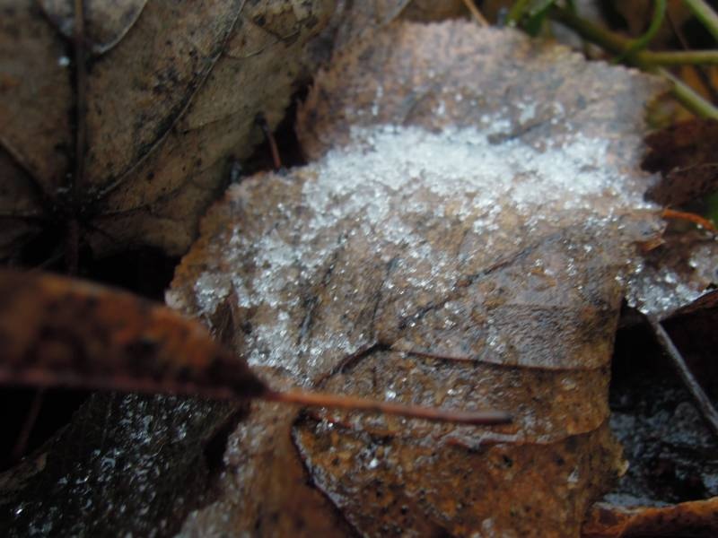 DSCN5045.JPG