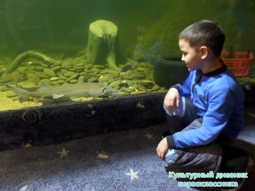 Океанариум