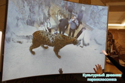 Новый экспонат «Ледниковый период»16493