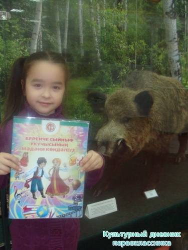 Историко-краеведческий музей7989