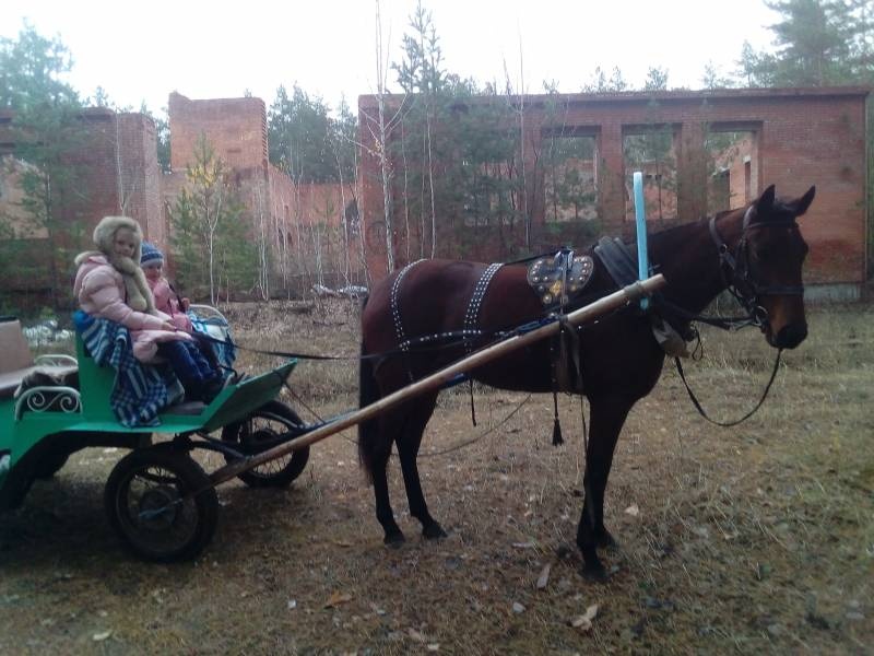6 день соревнований 1