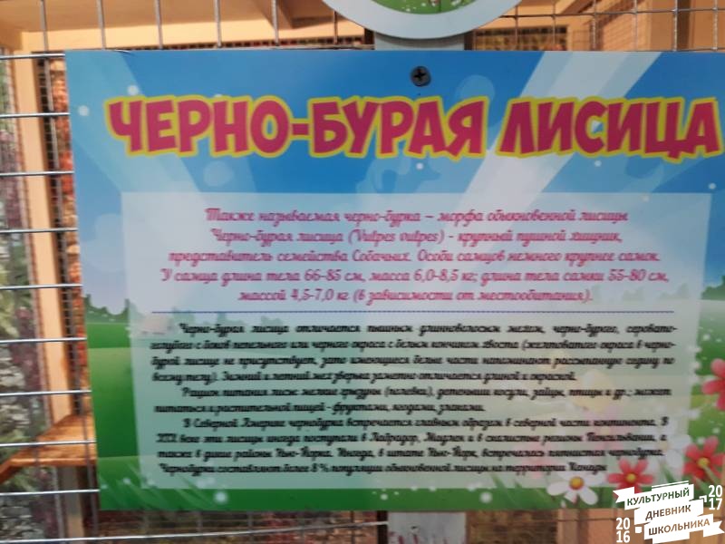 КК№46.Парк тропических бабочек.62385