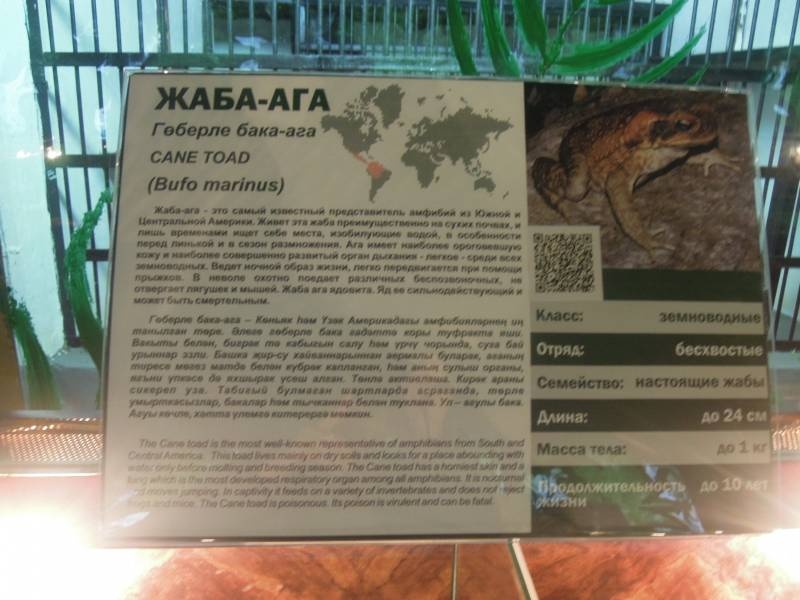 DSCN4849.JPG