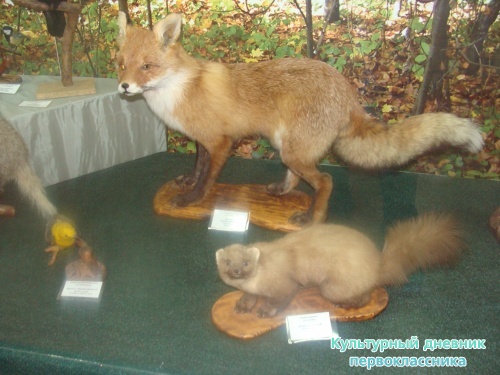 Историко-краеведческий музей7996