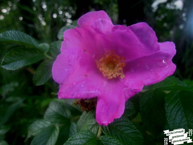 DSCN0356.JPG