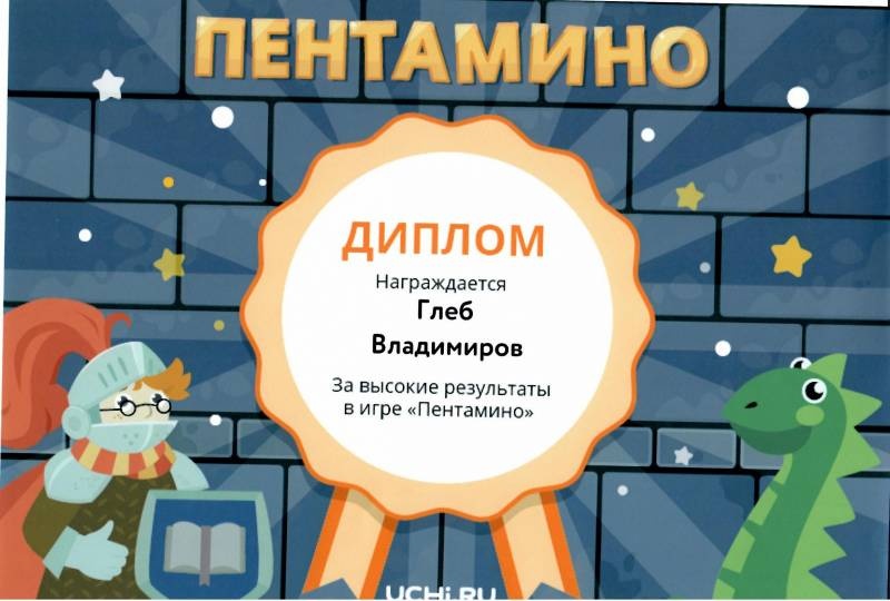 Портфолио достижений146996