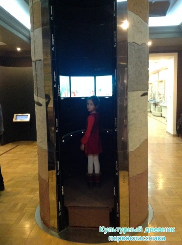 Музей естественной истории16830