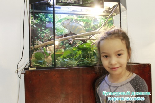 Мадагаскар выставка18127