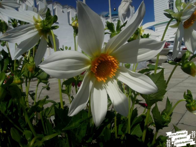 DSCN1538.JPG