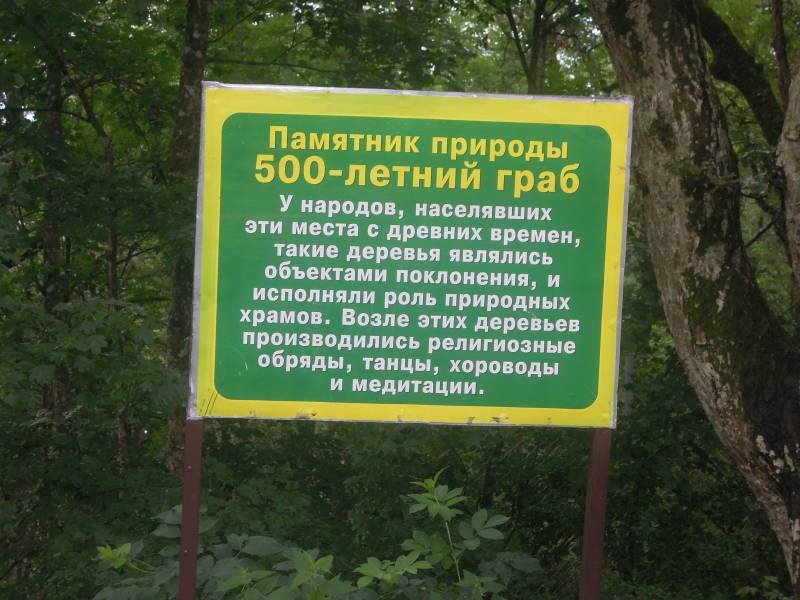 DSCN0352.JPG