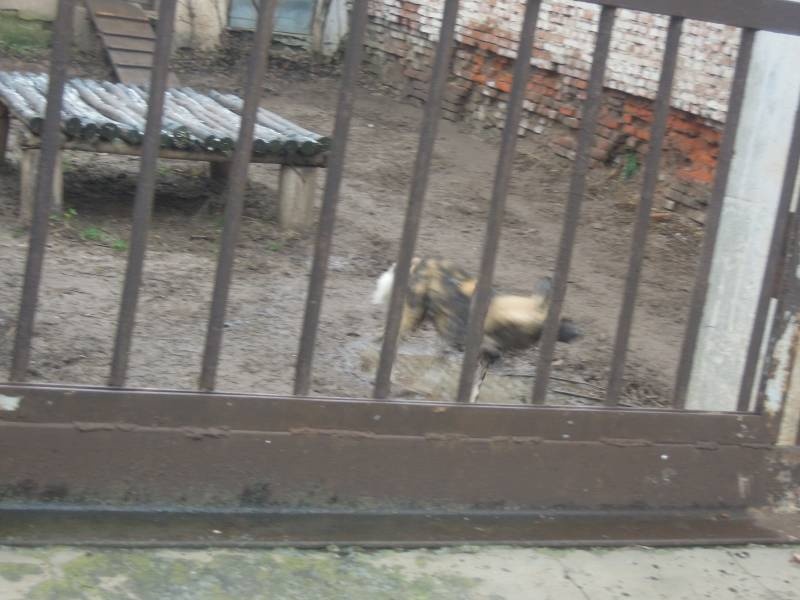 DSCN4997.JPG