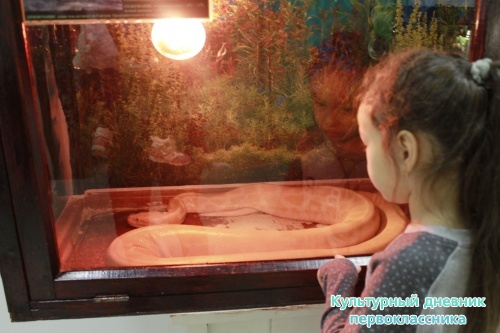 Мадагаскар выставка18128