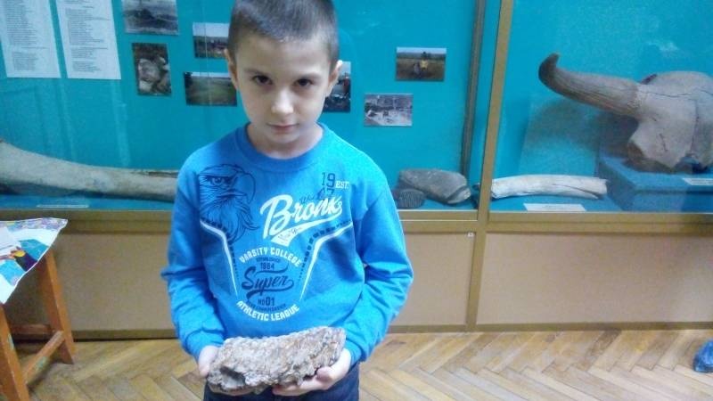 Кости Ископаемого бизона. АКМ.88890