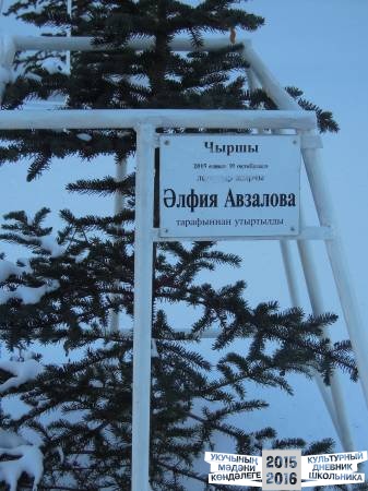 DSCN6557.JPG