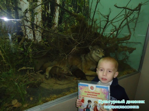 Ульяновский краеведческий музей имени И.А.Гончарова11747