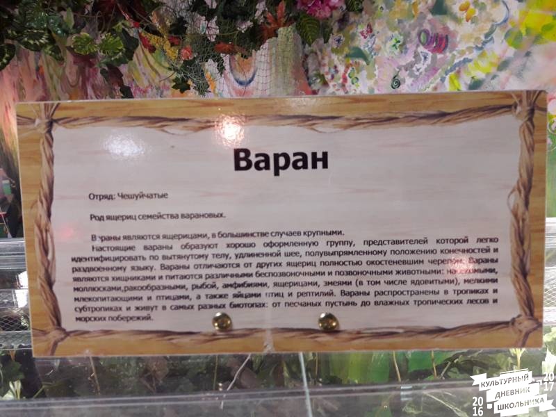 КК№46.Парк тропических бабочек.62370