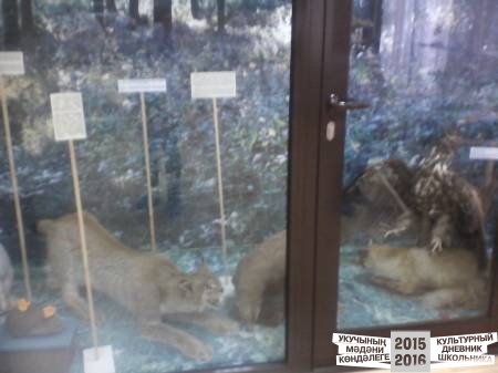 IMG_20160324_150150