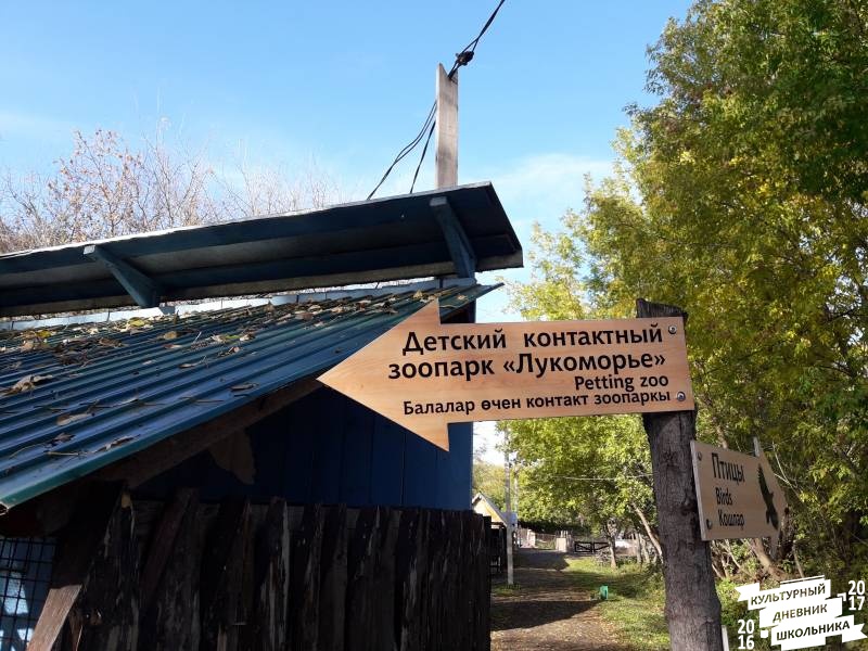 Детский контактный зоопарк "Лукоморье" Казань.78330
