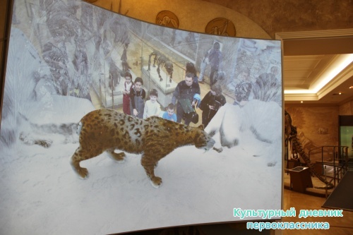 Новый экспонат «Ледниковый период»16497