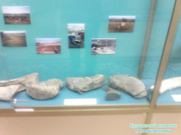 краеведческий музей