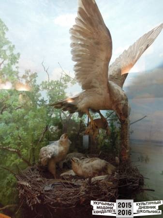 DSCN6830.JPG