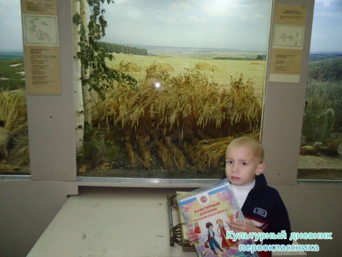 Ульяновский краеведческий музей имени И.А.Гончарова11414