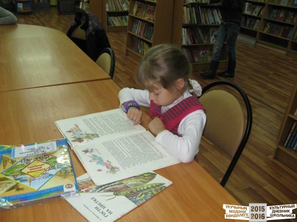 Библиотека