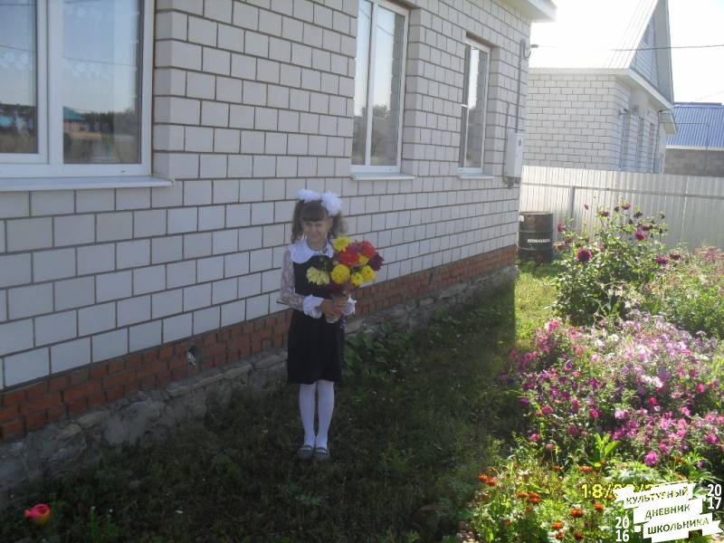 я и моя культурная команда73882