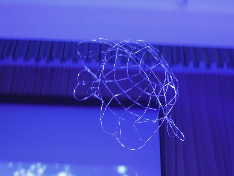 DSCN5745.JPG