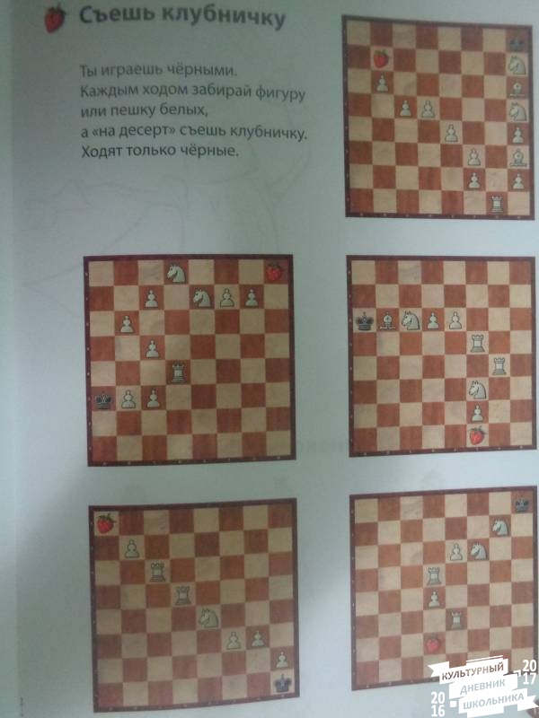 Взятие королем.JPG
