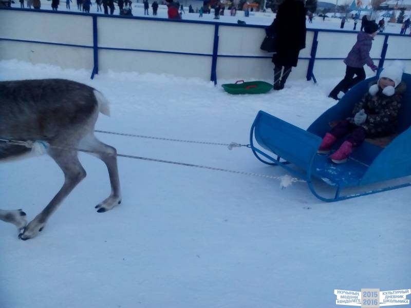 На катке на площади ДК Нетьче49893