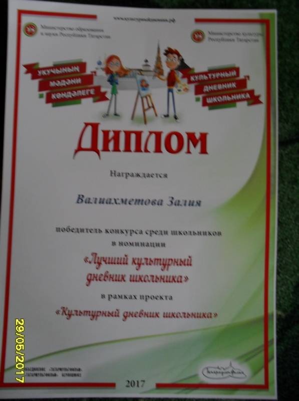 мои дипломы и грамоты118450