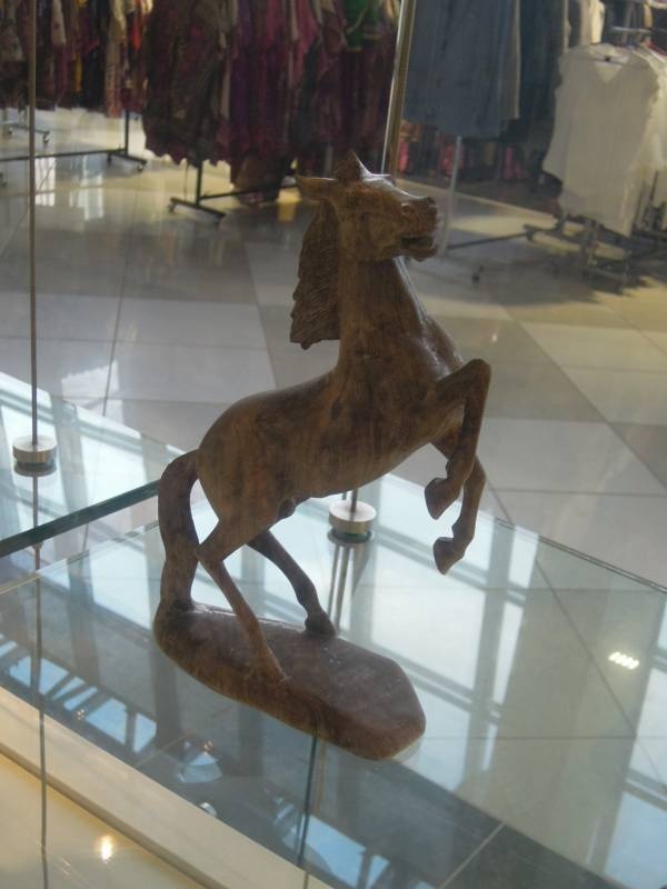 DSCN6844.JPG
