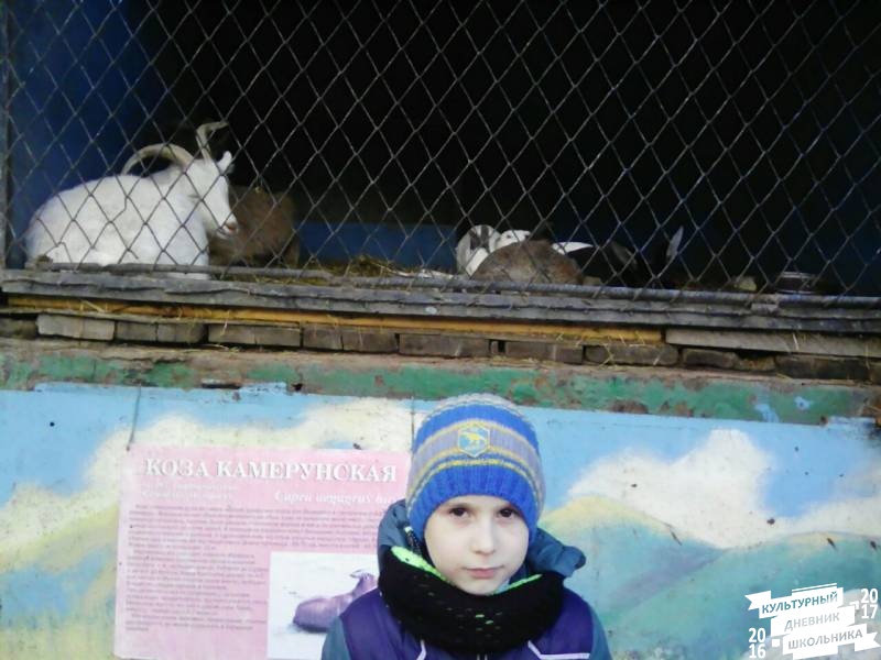 Передвижной зоопарк в Альметьевске.