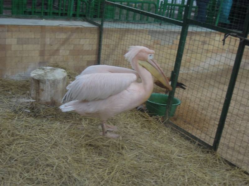 DSCN4964.JPG