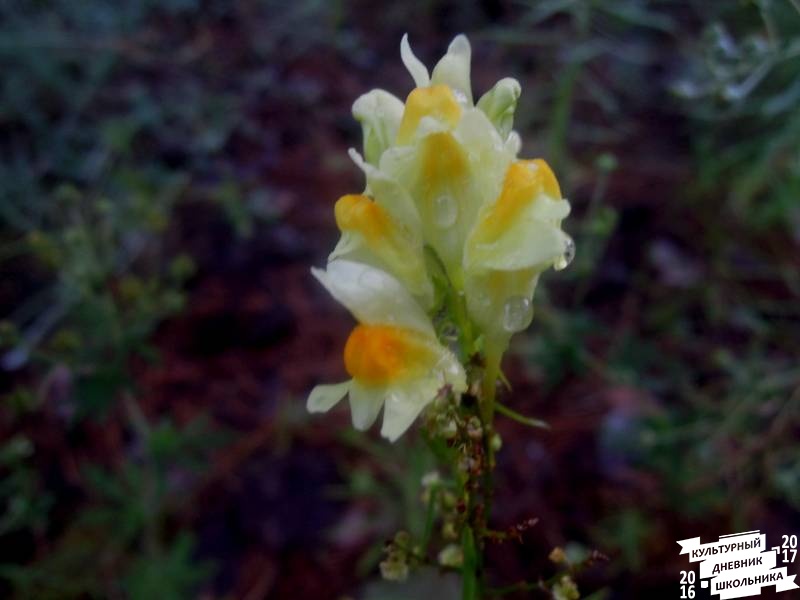 DSCN0367.JPG