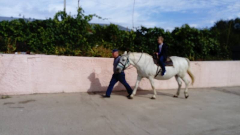 DSC_1842.JPG