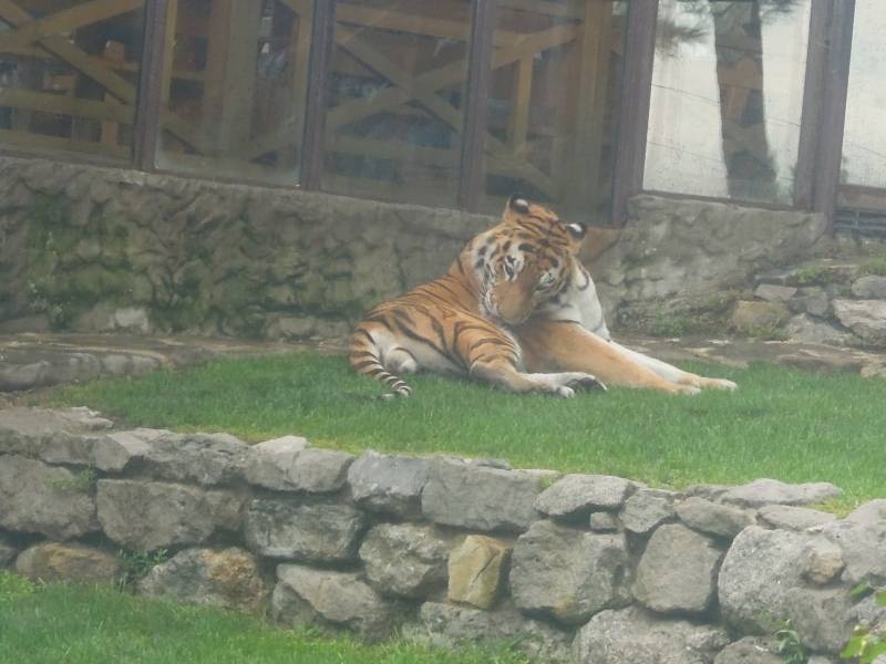 DSCN0187.JPG