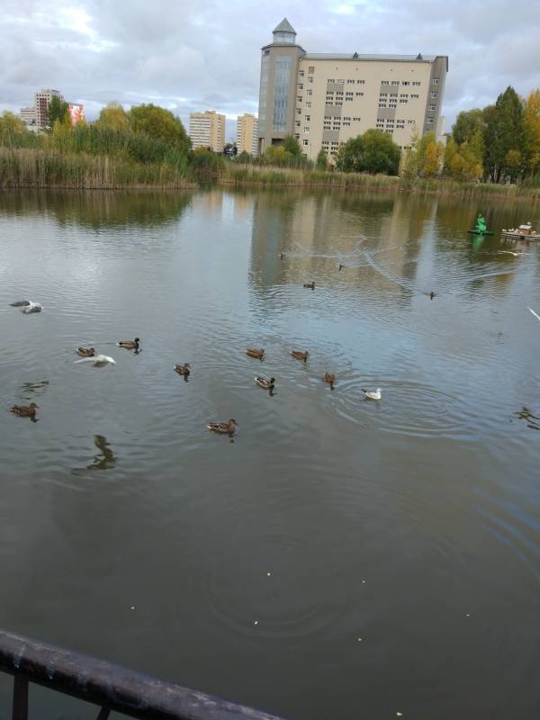 IMG_20181005_150835