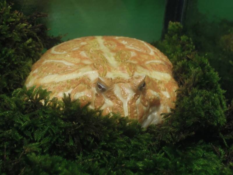 DSCN0418.JPG