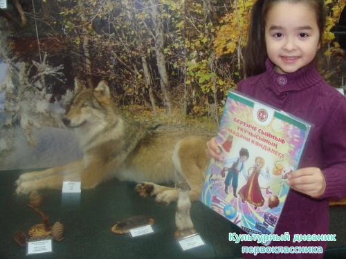 Историко-краеведческий музей7984