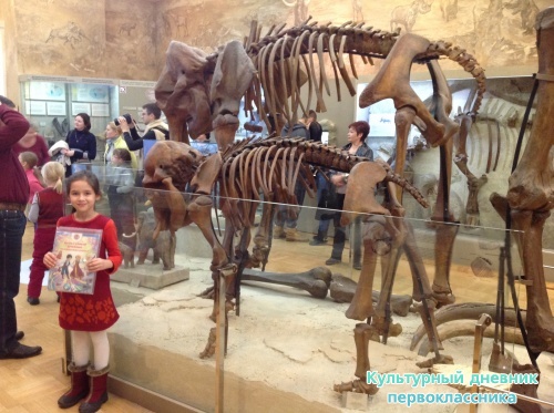 Музей естественной истории 2 этаж17400