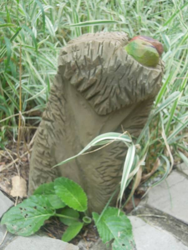 DSCN0375.JPG