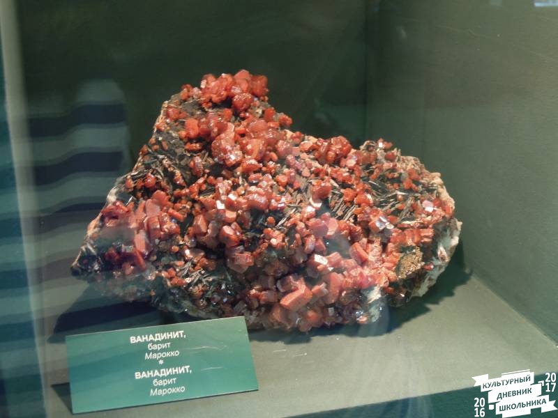 DSCN8536.JPG